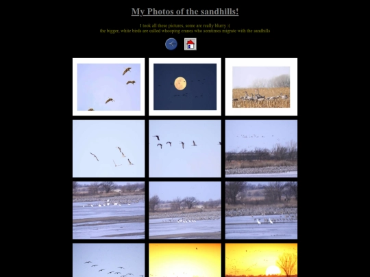 cranephotos screenshot