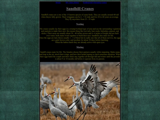 cranes screenshot