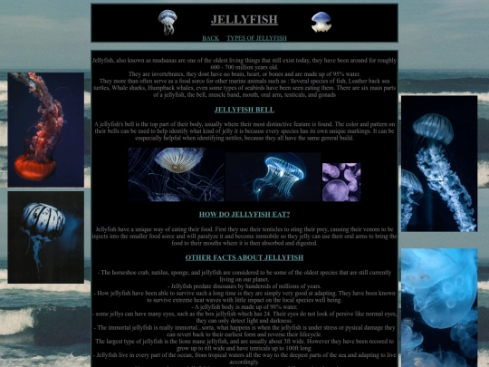 newJellyfish screenshot