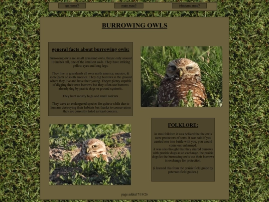 shrines/burrowingOwls screenshot