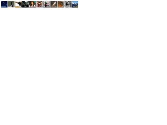 temporaryfanlistings screenshot