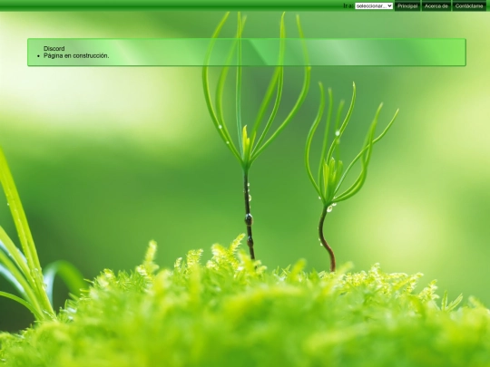 Discord screenshot
