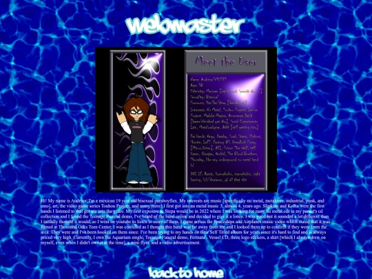 webmaster screenshot