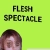 FLESH SPECTACLE avatar