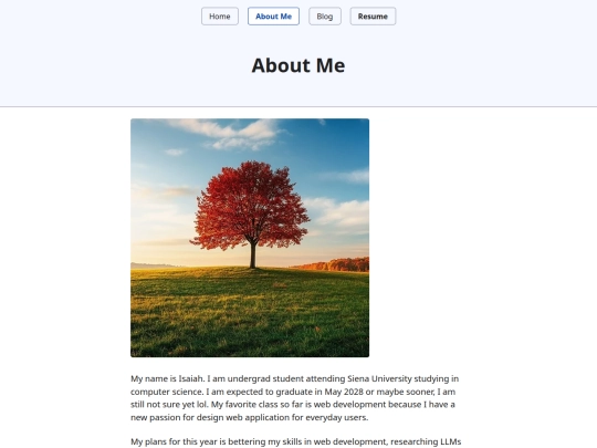 project1A/about screenshot