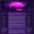 uncannychelle.yorniq.xyz avatar