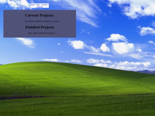 projects screenshot