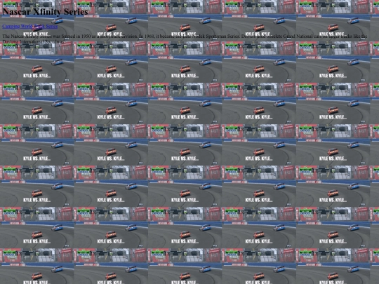 nascar2 screenshot