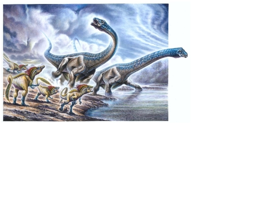 imitationassingment screenshot