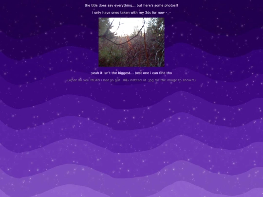 photos screenshot