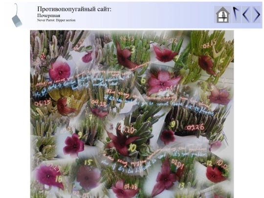 taggedid/5x/static/my_garden/season2019/blooming2019collage3-2_1 screenshot