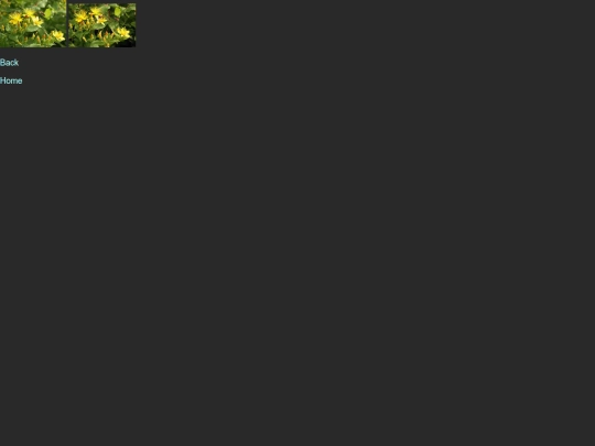 bytags/yellow.cloud screenshot