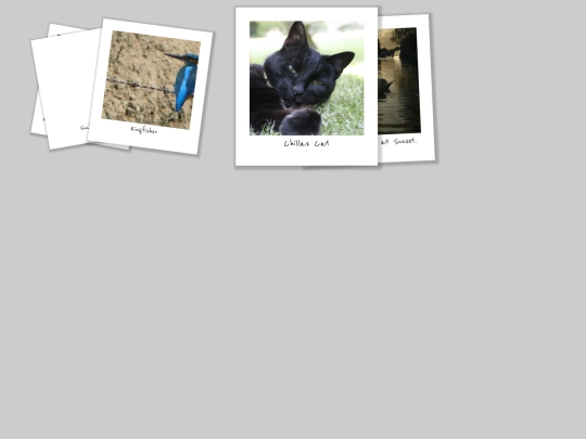TEMPLATES/photos4 screenshot