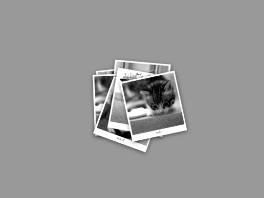 TEMPLATES/photos5 screenshot