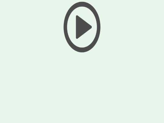pfpf1 screenshot