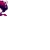dorothyhaze.yorniq.xyz avatar