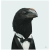 logomancer.yorniq.xyz avatar