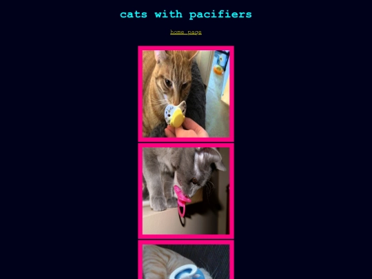 cats screenshot
