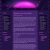 angrymeal.yorniq.xyz avatar