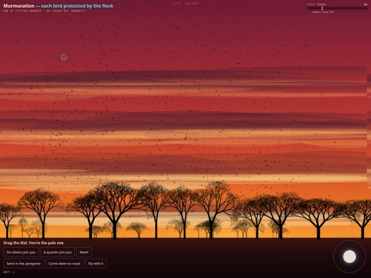murmuration-3d screenshot