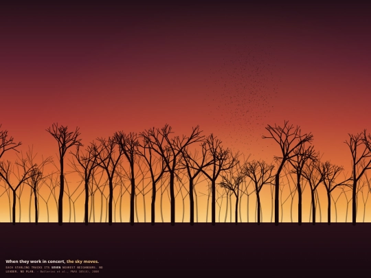 murmuration-widget screenshot