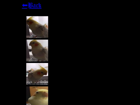 zbigniew screenshot
