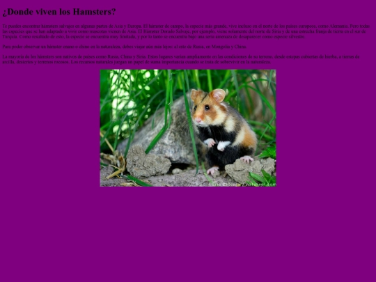 articulo3.0 screenshot
