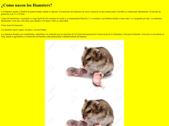 articulo5.0 screenshot