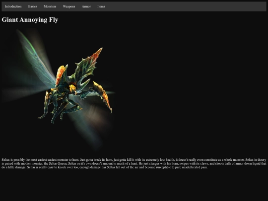 Seltas screenshot