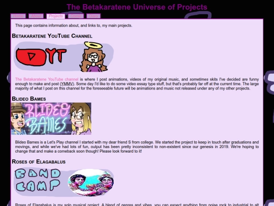 projects screenshot