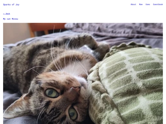 2026/06/16/minou screenshot