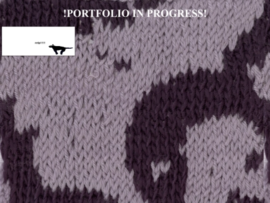 portfolio screenshot