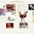 whimsical-tendencies.yorniq.xyz avatar