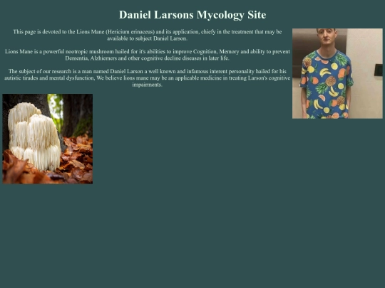 lionsmane screenshot