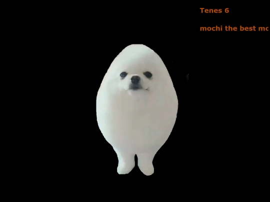 jijijiijij screenshot