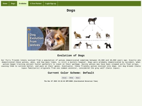FinalProject/evolution screenshot