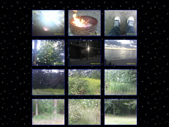 artgallery screenshot