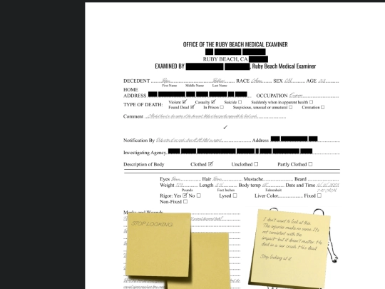 pages/stoplooking screenshot