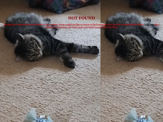 test/marquee_test screenshot