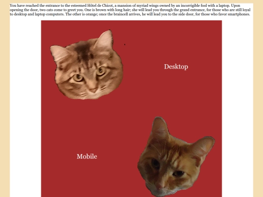 test/newsplash_test screenshot
