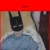 holymeal.yorniq.xyz avatar