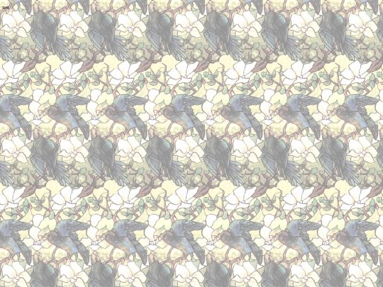 E.W.!!!/sat screenshot