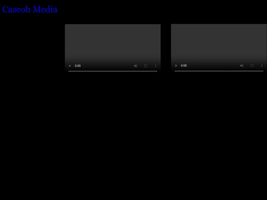 media screenshot