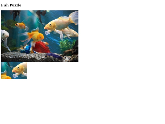 fish/fishpuzzle screenshot