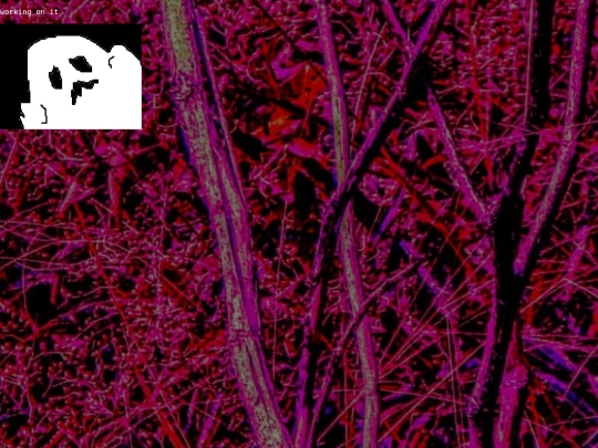poetry screenshot
