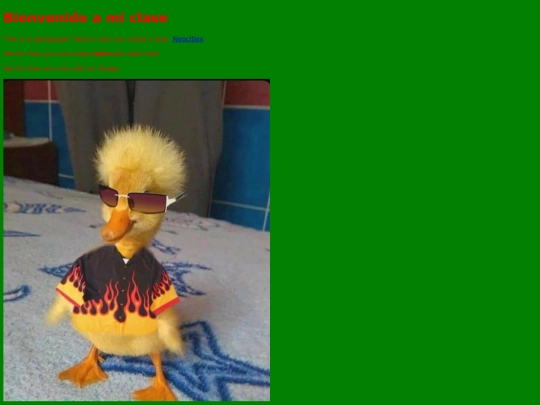 4B screenshot