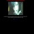 plasticmarionette.yorniq.xyz avatar