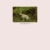julylope.yorniq.xyz avatar