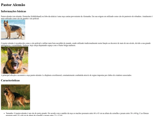 teste4 screenshot
