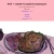 raspberrygem.yorniq.xyz avatar